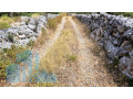 poljoprivredno-zemljiste-zecevo-rogoznicko-5578-m2-small-1