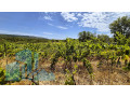 poljoprivredno-zemljiste-zecevo-rogoznicko-5578-m2-small-2
