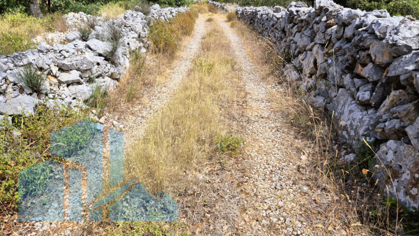 poljoprivredno-zemljiste-zecevo-rogoznicko-5578-m2-big-1